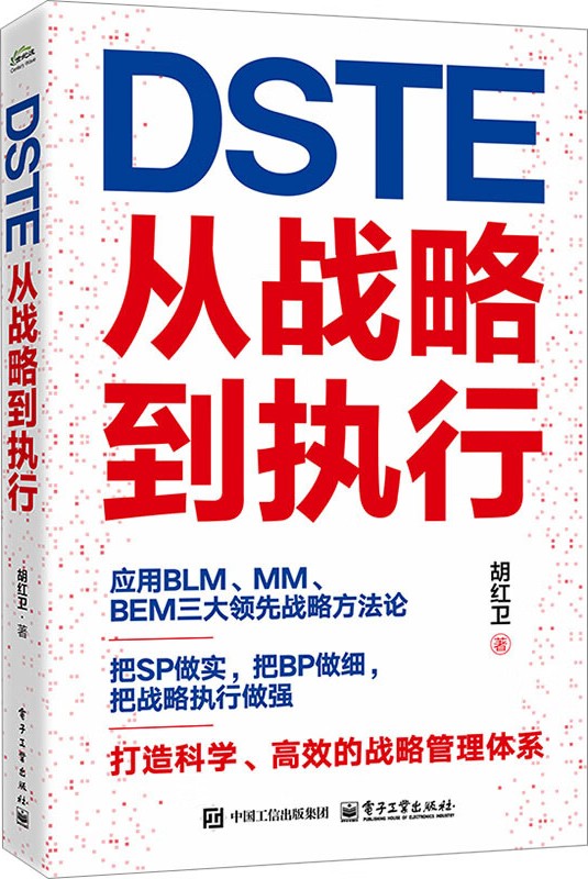 《DSTE――从战略到执行》胡红卫