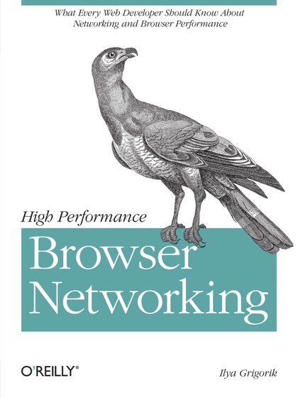 High-Performance Browser Networking