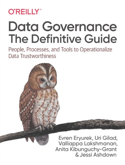 Data Governance The Definitive Guide