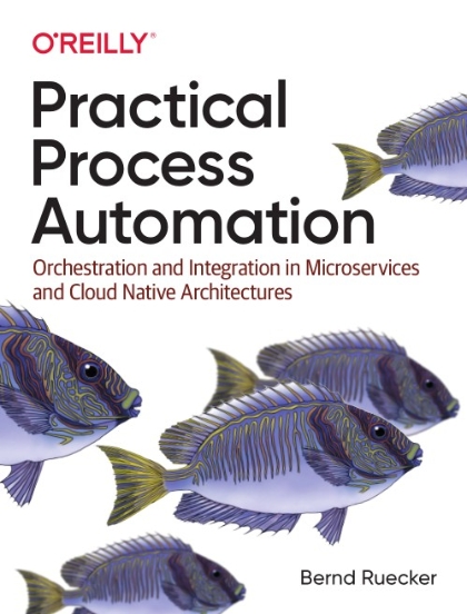 Practical Process Automation