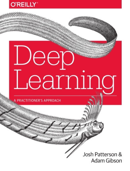 Deep Learning A Practitioner’s Approach