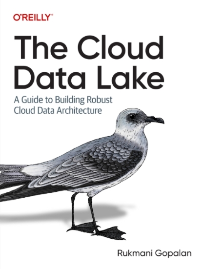 The Cloud Data Lake