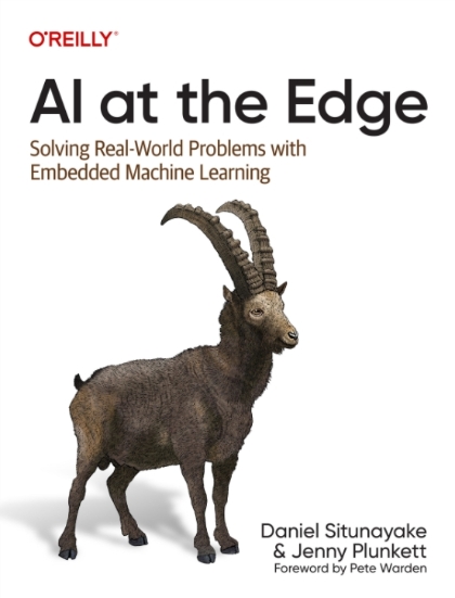 AI at the Edge