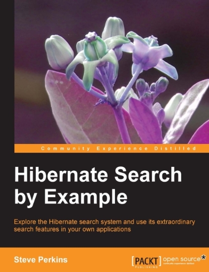 Hibernate Search by Example