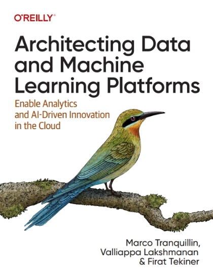 Architecting Data and Machine Learning Platforms