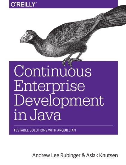 Continuous Enterprise Development in Java