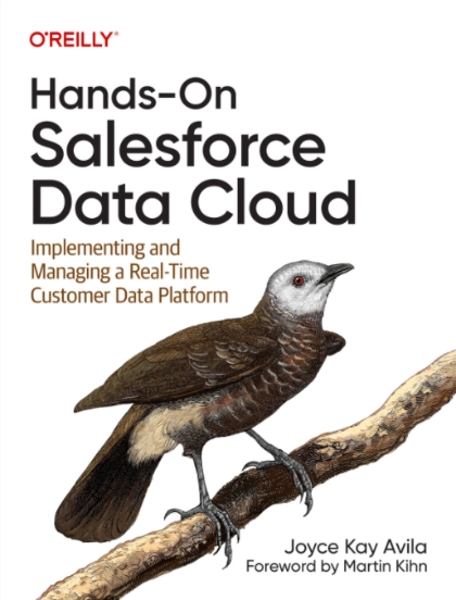 Hands-On Salesforce Data Cloud