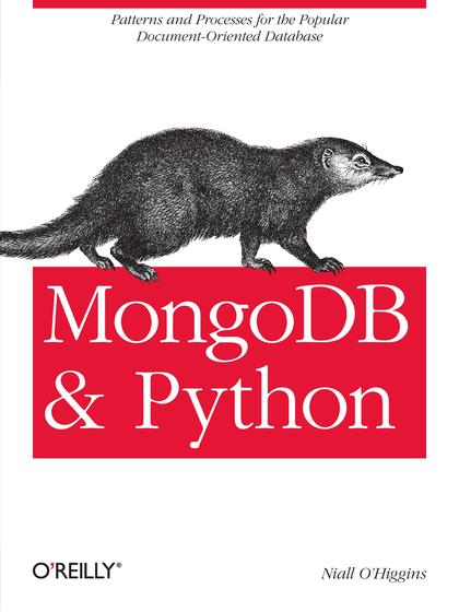 MongoDB and Python