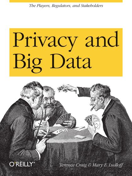 Privacy and Big Data