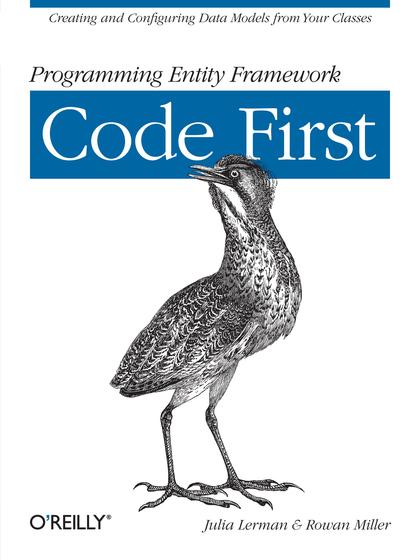 Programming Entity Framework Code First