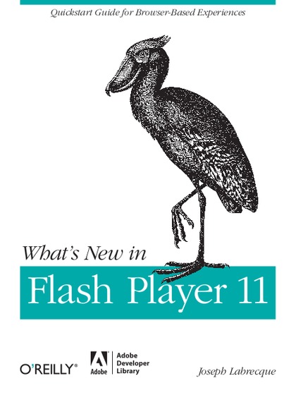 What’s New in Flash Player 11