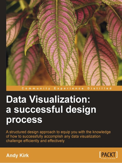 Data Visualization a successful design process